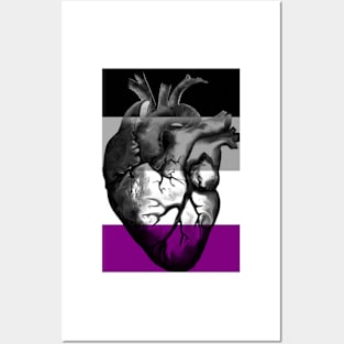 Asexual Pride Anatomic Heart Posters and Art